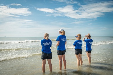 Beach Clean Up