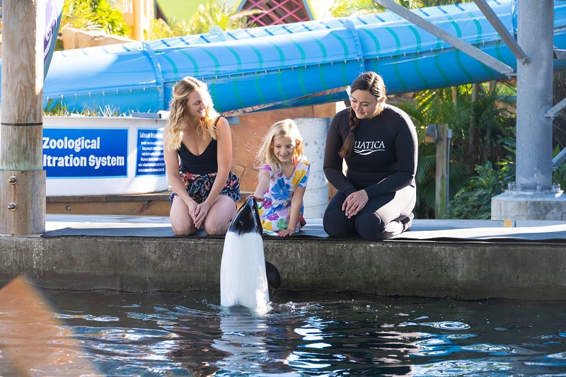 Aquatica