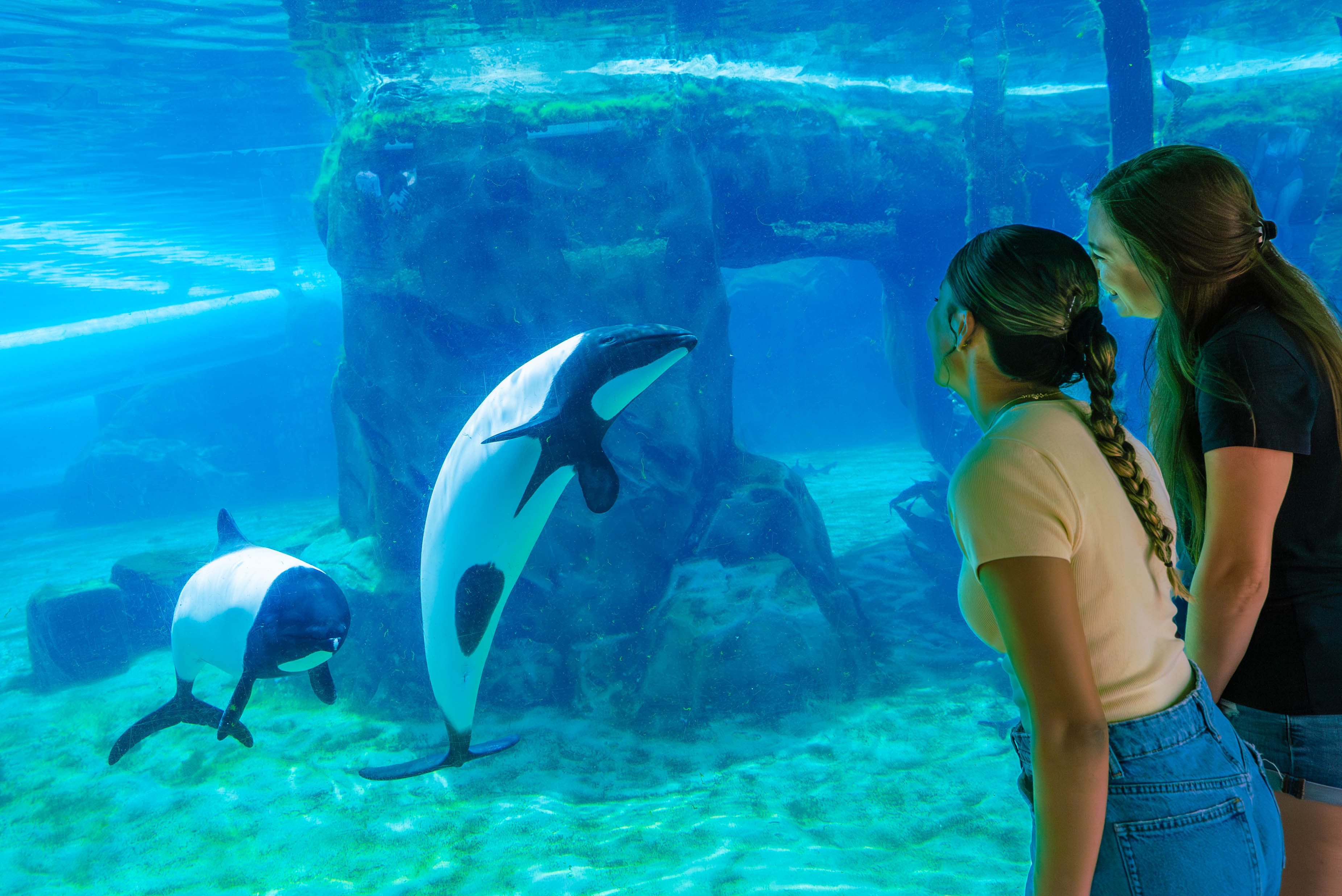 Aquatica