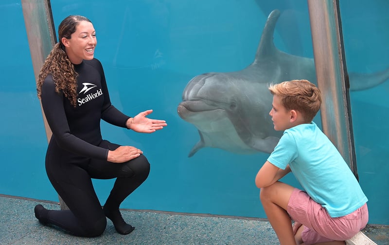 SeaWorld