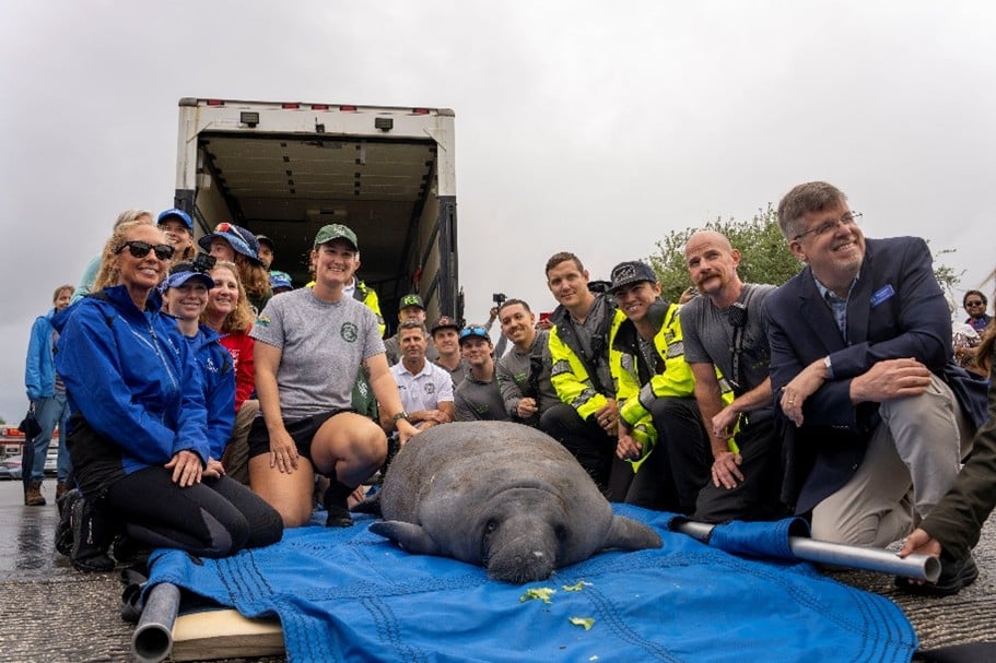 SeaWorld Rescue
