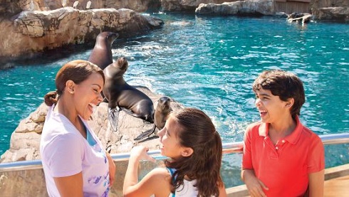 Visit SeaWorld San Antonio