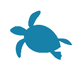 Turtle Icon