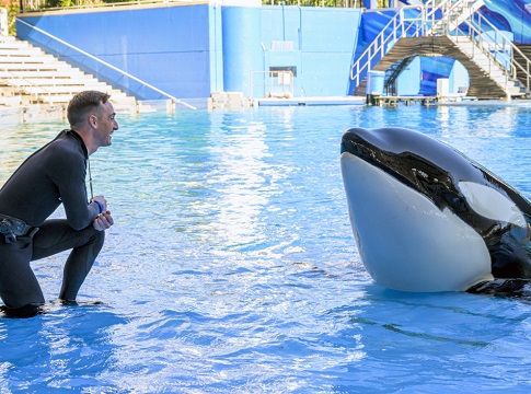 Justin Boepple - Animal Trainer