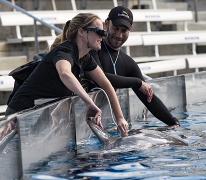 Kelsey Herrick - Veterinarian