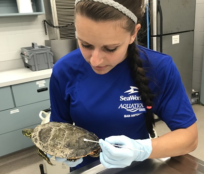 Tara Klimek - Animal Hospital Manager