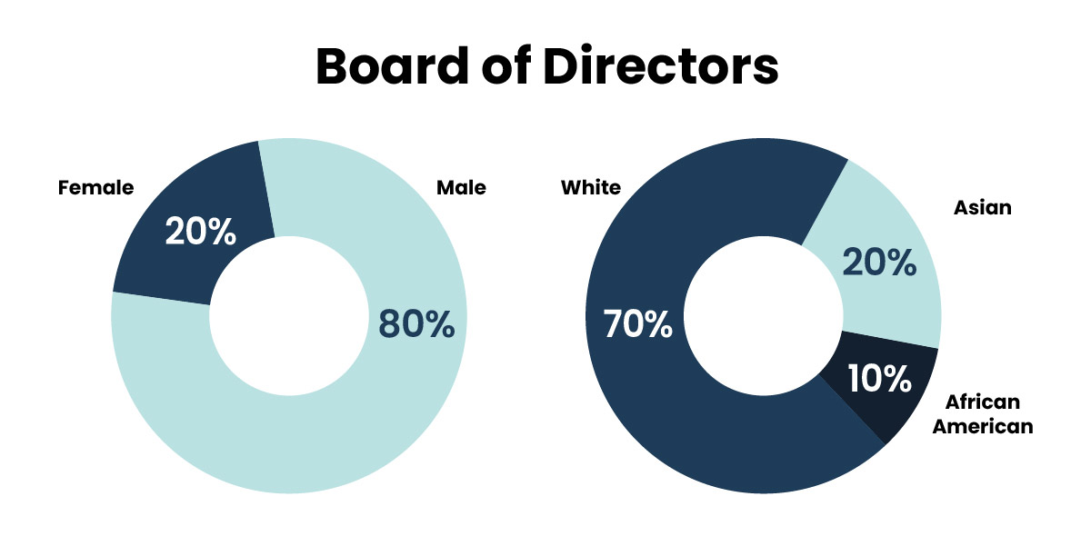 Board of directors breakdown