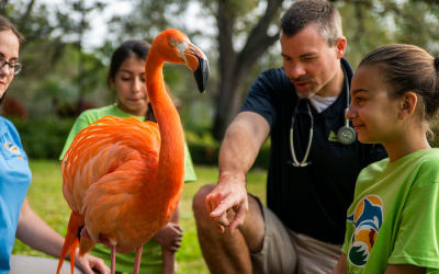 Veterinarian speaking to campers about flamingos