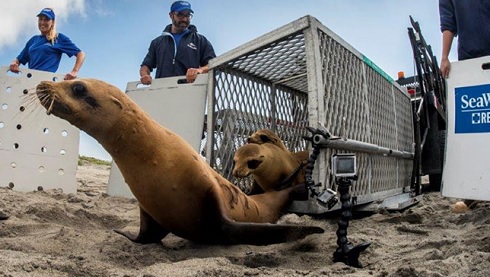 Rescue and Rehabilitation