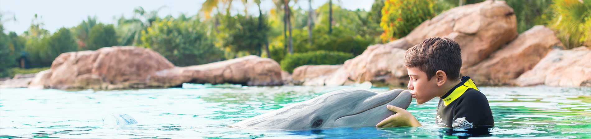 Get up close with amazing dolphins at Discovery Cove.