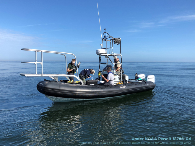 A boat with Marine Scientists performing research