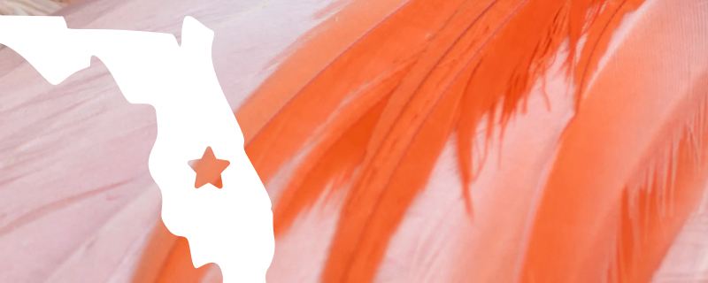 A white silhouette of Florida state over flamingo feathers